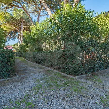 Il Gabbiano Nuovo A - Goelba